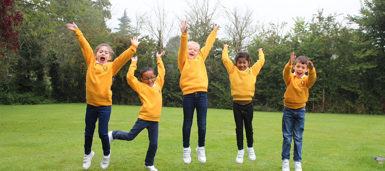 Year 2 Jeans for Genes