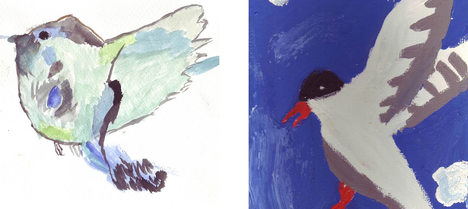 eco-bird-week2