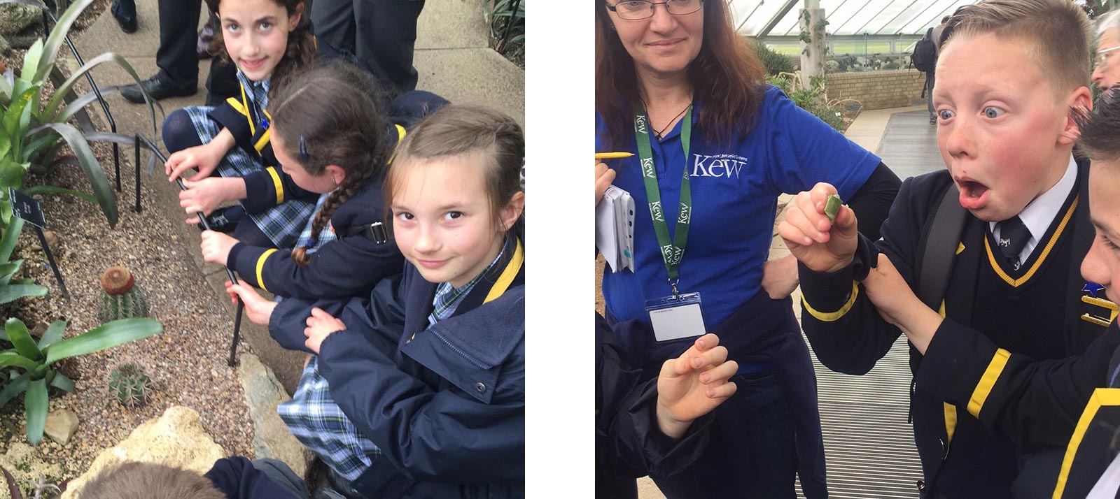 year-5-visit-kew-gardens