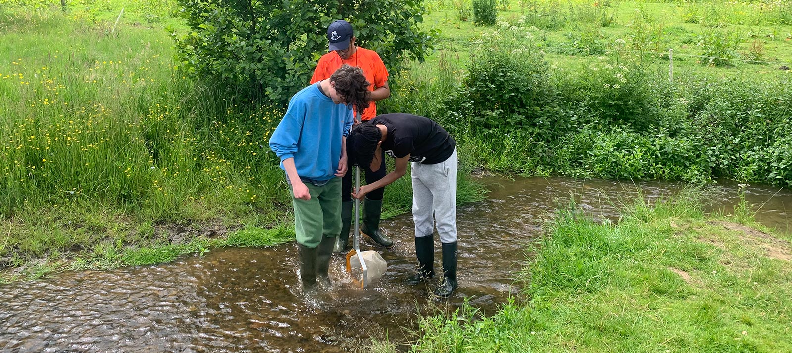 Biology Field Trip Aldenham School Aldenham School